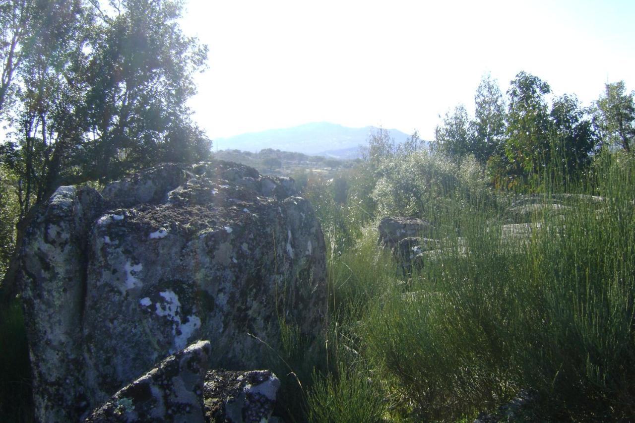 Tapada Da Beira Bauernhof *