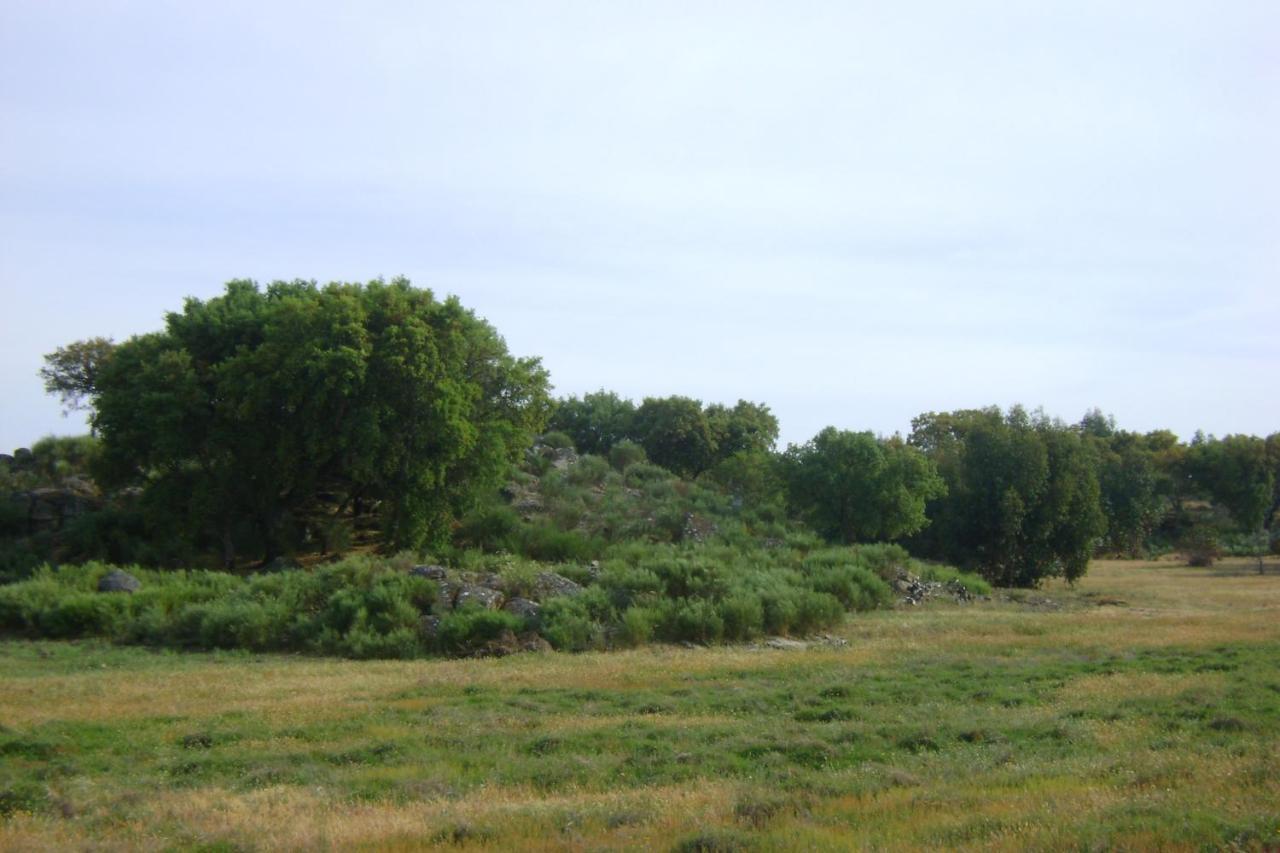 Tapada Da Beira Marvão
