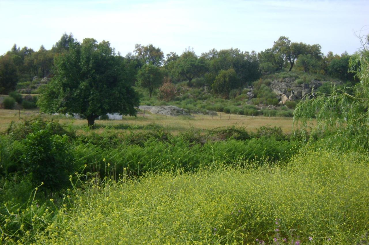 Tapada Da Beira Farm stay *