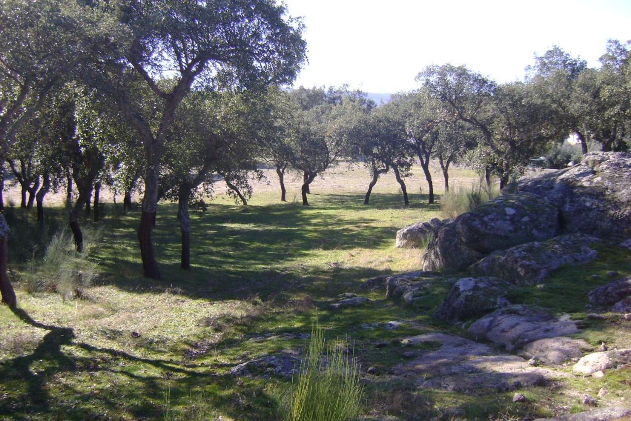 Farm stay Tapada Da Beira