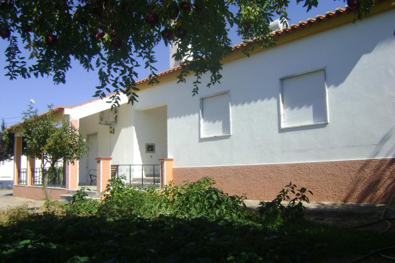 Farm stay Tapada Da Beira Marvao (Portalegre)